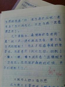 这段木头里一定有虫漫画作文,一段奇妙的虫木故事